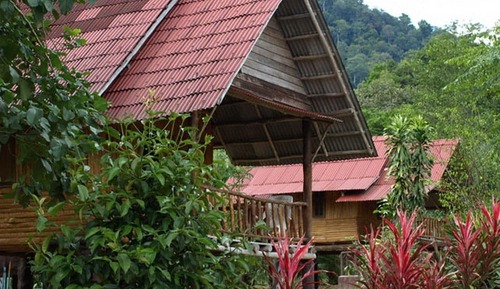 Cottage (Standard Palm Fan)