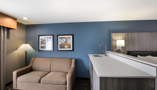 Suite, 1 King Bed, Non Smoking, Kitchenette (Living Room)