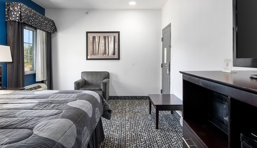Room, 1 King Bed, Non Smoking, Refrigerator & Microwave