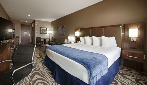 Standard Room, 1 King Bed, Accessible, Bathtub (with Single Sofabed)