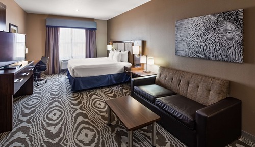 Suite, 1 King Bed, Non Smoking, Refrigerator & Microwave (with Single Sofabed)