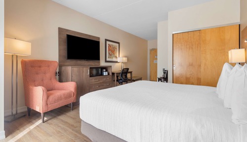 Standard Room, 1 King Bed, Accessible, Non Smoking