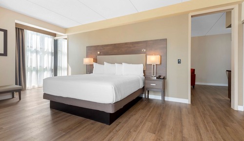 Suite, 1 King Bed with Sofa bed, Refrigerator & Microwave, Park View (with Sofabed)
