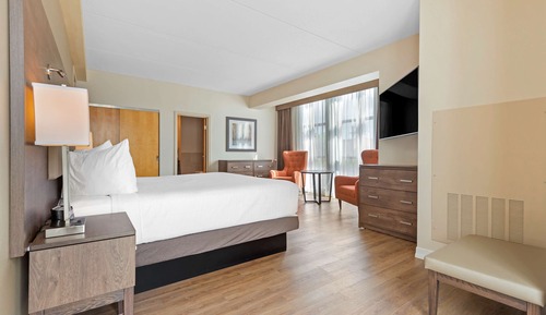 Standard Room, 1 King Bed with Sofa bed, Non Smoking, Jetted Tub (with Sofabed)