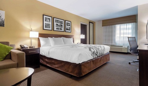 Suite, 1 King Bed with Sofa bed, Accessible, Non Smoking