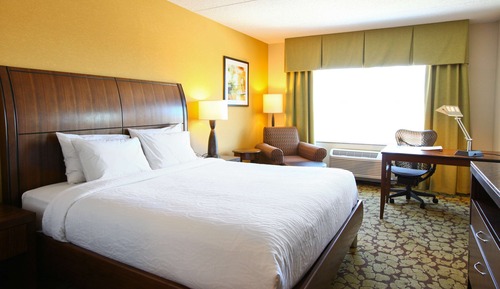 Room, 1 King Bed