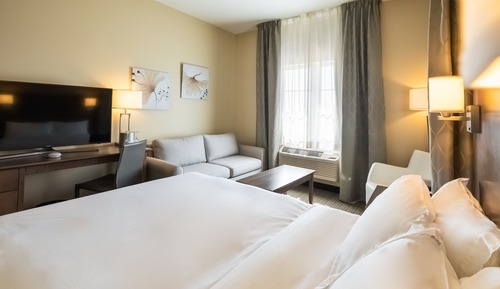 Family Room, 1 Queen Bed with Sofa bed