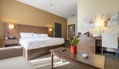 Superior Room, 1 King Bed with Sofa bed