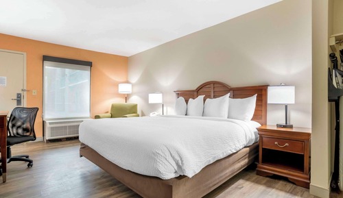 Room, 1 King Bed, Accessible, Non Smoking