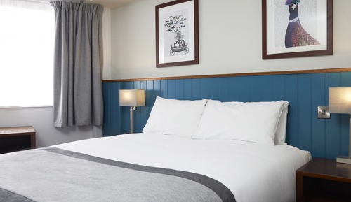 Basic Double Room, 1 King Bed