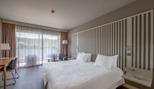 Superior Room, Balcony (Hill View)