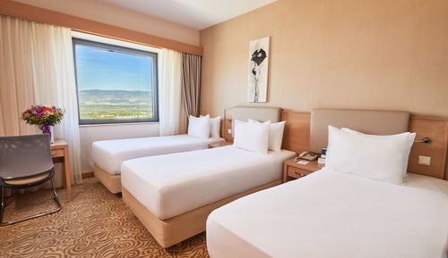Triple Room with 3 Single Beds