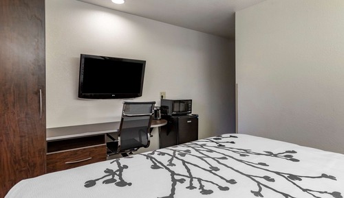 Standard Room, 1 King Bed, Non Smoking