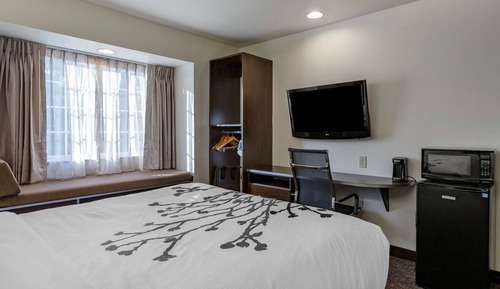 Standard Room, 1 Queen Bed, Non Smoking