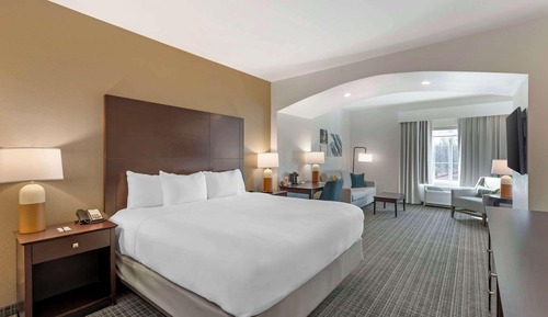Standard Room, 1 King Bed, Non Smoking