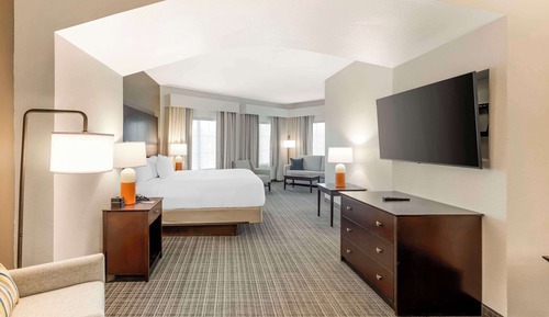 Suite, 1 King Bed with Sofa bed, Non Smoking