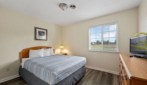 Standard Suite