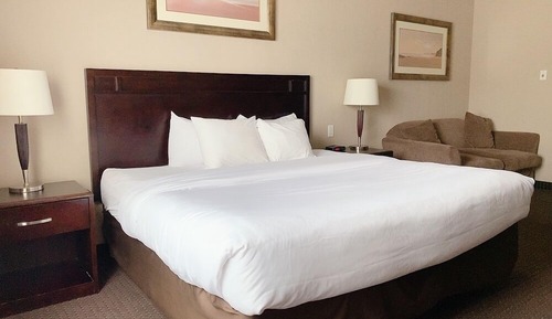 Executive Room, 1 King Bed with Sofa bed