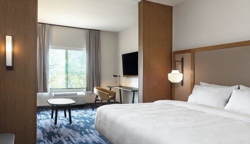 Suite, 1 King Bed with Sofa bed
