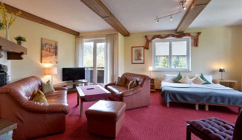 Apartment, Private Bathroom, Mountain View