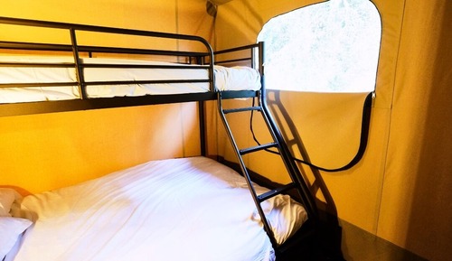 Premium Tent