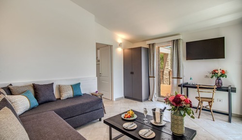 Premium Suite