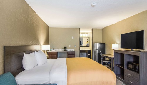 Suite, 1 King Bed with Sofa bed, Non Smoking (Efficiency)