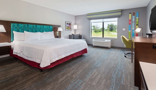 Room, 1 King Bed, Accessible, Non Smoking