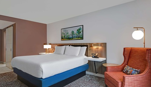 Room, 1 King Bed