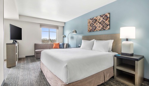 Room, 1 King Bed (Accessible, Tub)