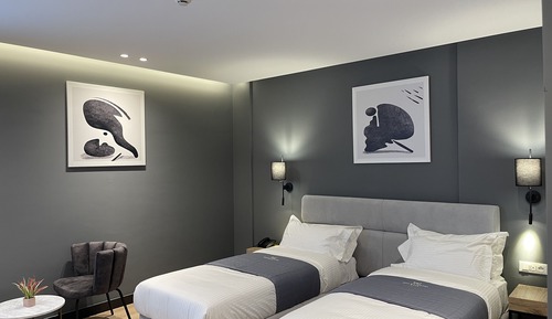 Deluxe Double or Twin Room
