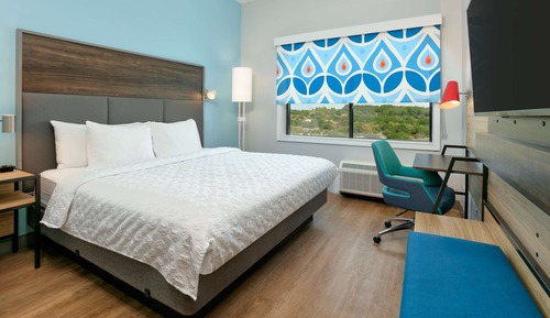 Room, 1 King Bed