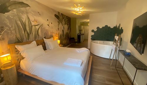 Luxury Studio Suite, 1 King Bed