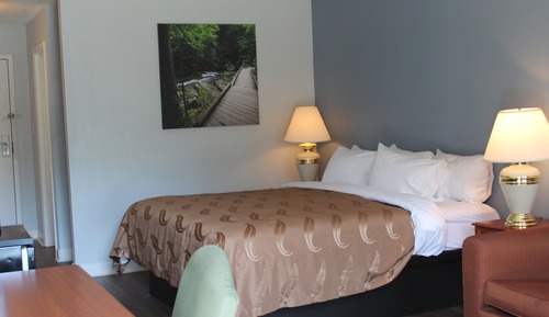 Standard Room, 1 King Bed, Non Smoking