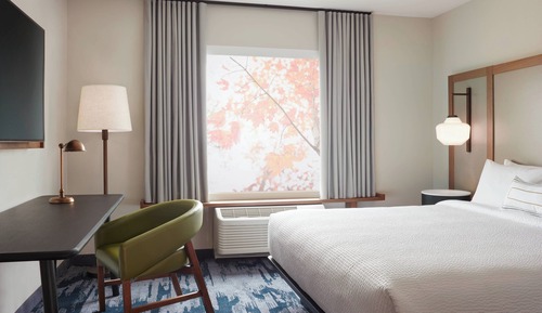 Room, 1 King Bed