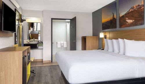 Room, 1 King Bed, Accessible, Smoking (Mobility, Roll-in Shower)