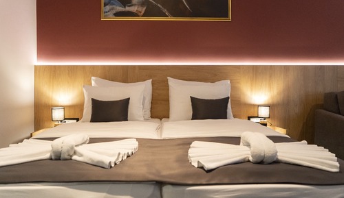 Deluxe Double or Twin Room