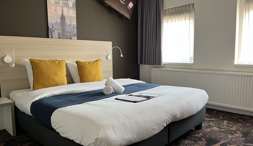 Deluxe Double or Twin Room