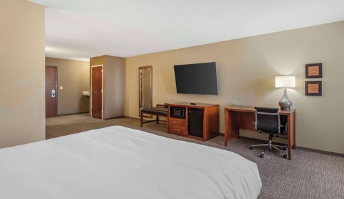Suite, 1 King Bed with Sofa bed, Non Smoking