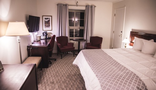 Executive Room, 1 King Bed, City View