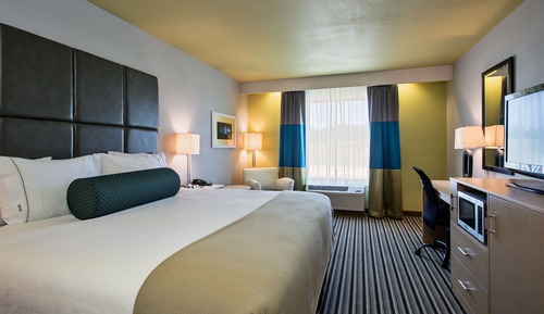 Standard Room, 1 King Bed, Accessible (Communication, Accessible Tub)