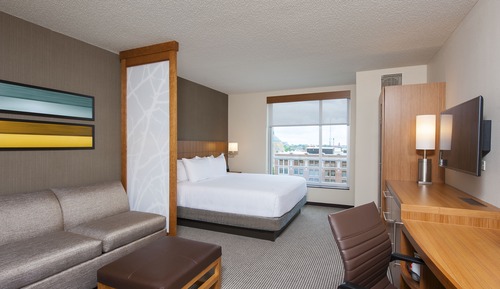 Room, 1 King Bed, Accessible (Shower)