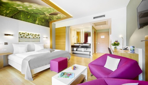 Deluxe Double Room Single Use, 1 Double Bed