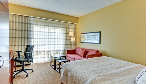 Room, 1 King Bed with Sofa bed