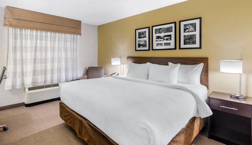 Room, 1 King Bed, Accessible, Non Smoking