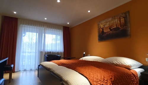 Double Room Comfort, Modern with Balcony 1 Double bed