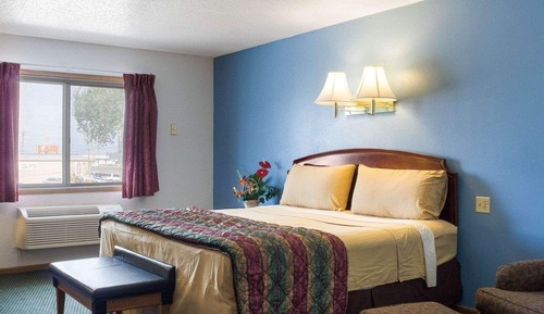 Standard Room, 1 King Bed, Non Smoking