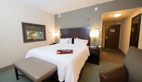 Room, 1 King Bed