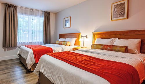 Studio, 2 Queen Beds