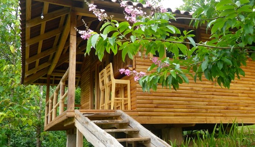 Bungalow